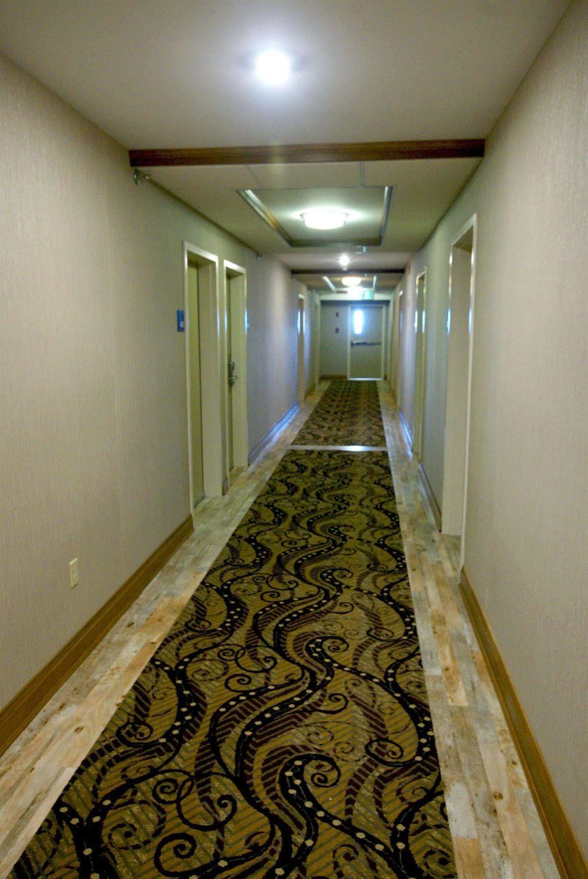 Holiday Inn Express Hotel & Suites Uptown Fredericton By Ihg Exteriör bild